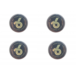 1989 Turbo Trans Am Gold Power 6 Hex Cap Inlay Set of 4